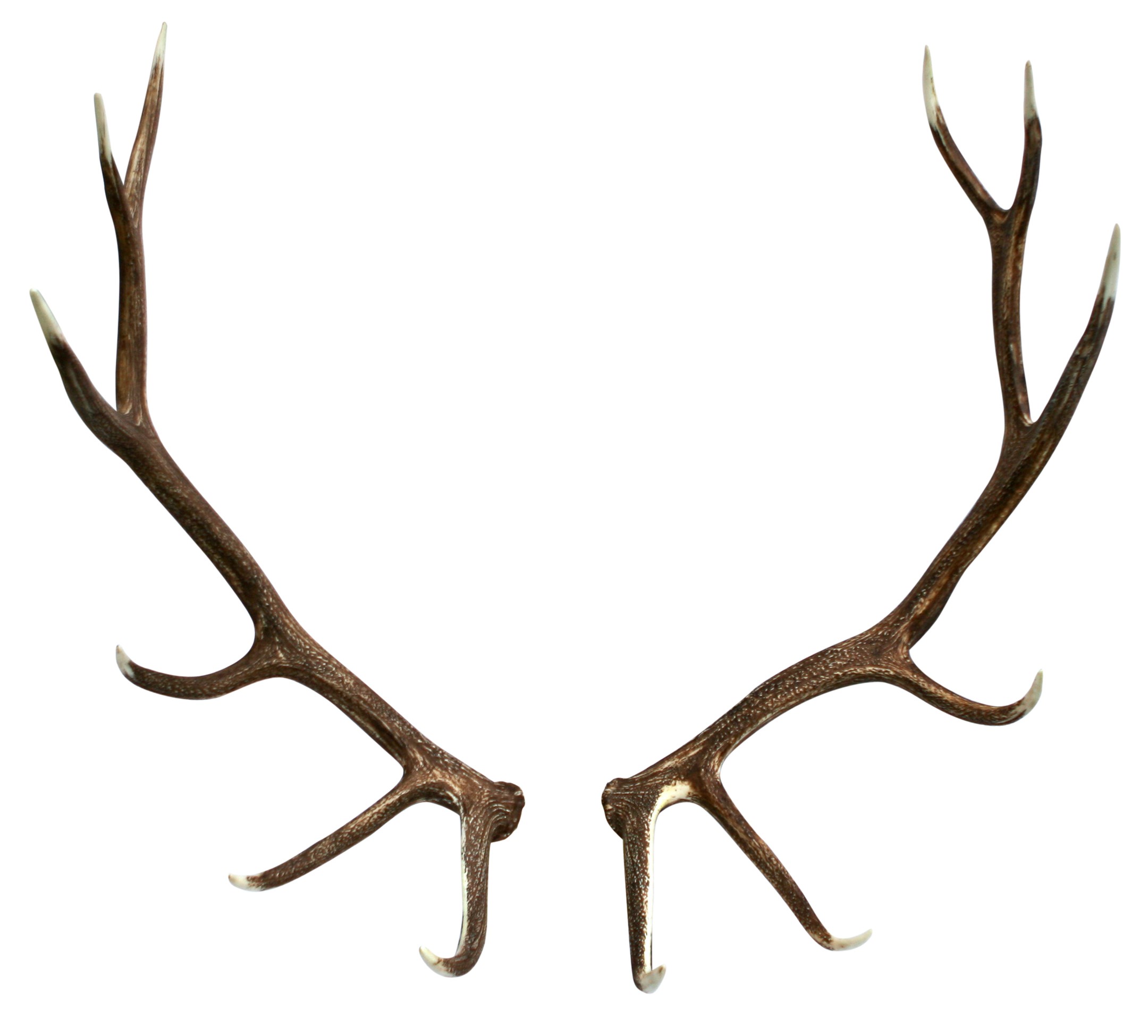 Elk antlers clipart