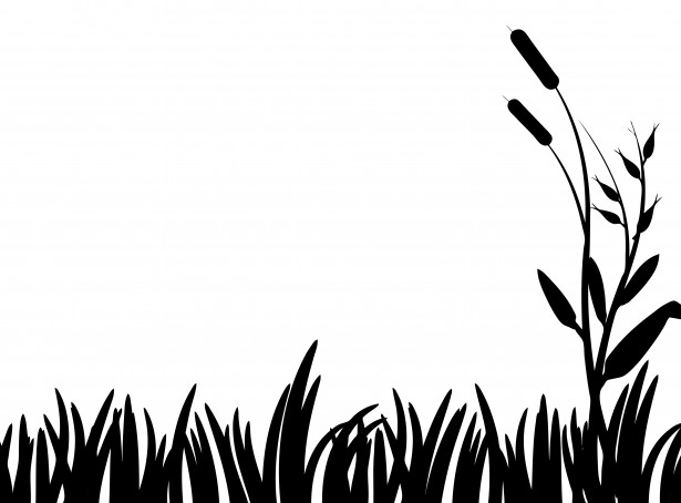 Grass Silhouette Clipart Free Stock Photo