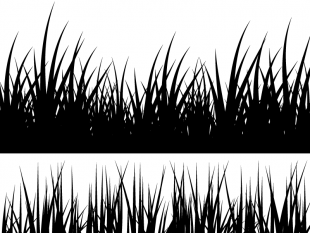 Flowers grass silhouette vector