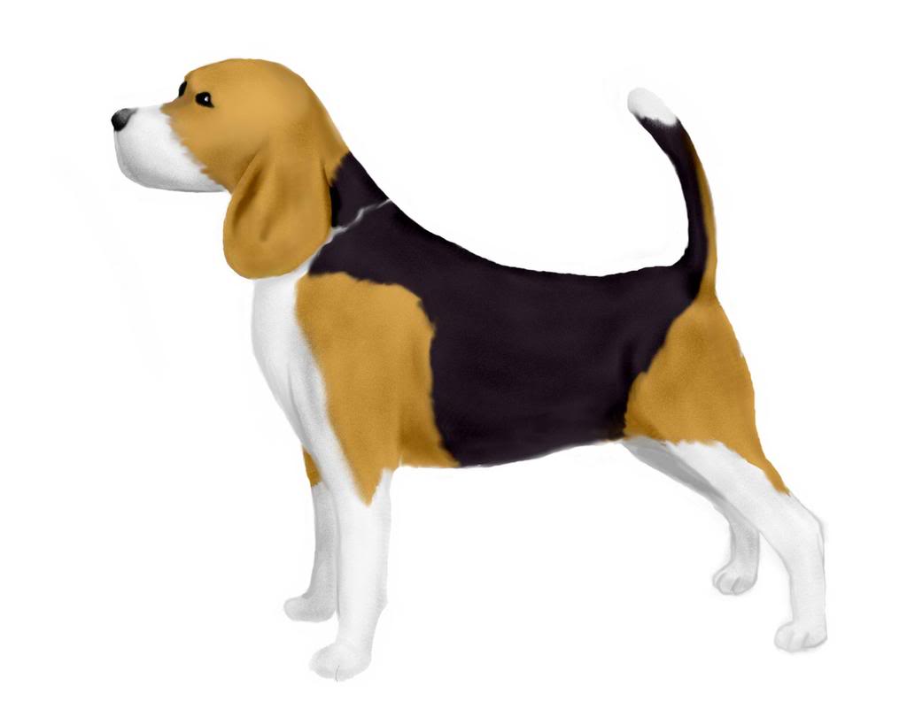 Clip Art Black And White Beagle Clipart