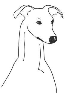 Free Free Cliparts Greyhound, Download Free Free Cliparts Greyhound png