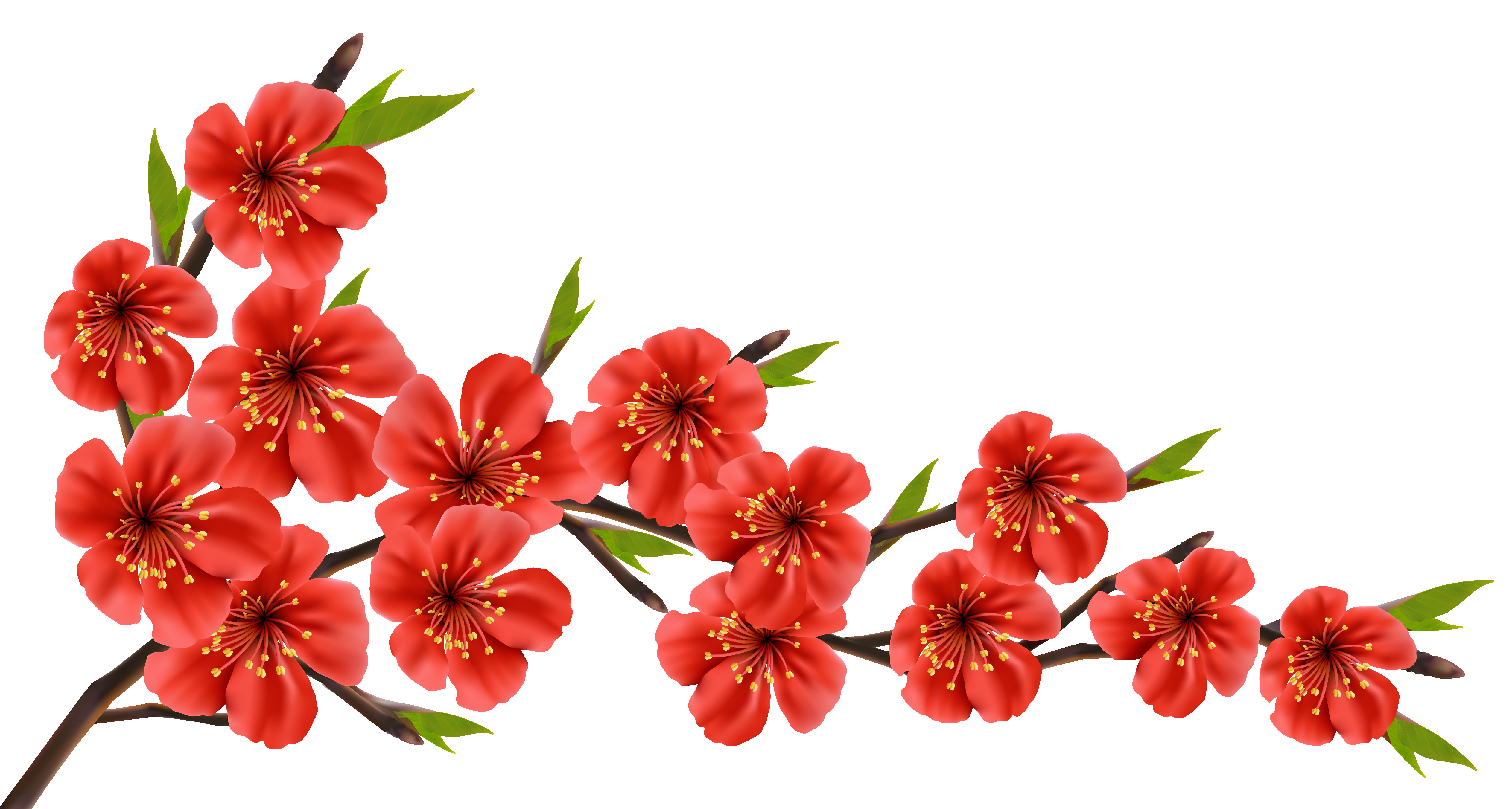 Red Spring Branch PNG Clipart Image 