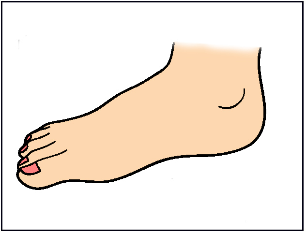 Free Foot Cartoon Cliparts, Download Free Foot Cartoon Cliparts png images,  Free ClipArts on Clipart Library