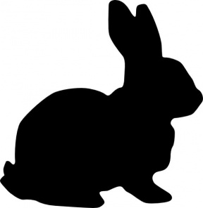 bunny silohette image