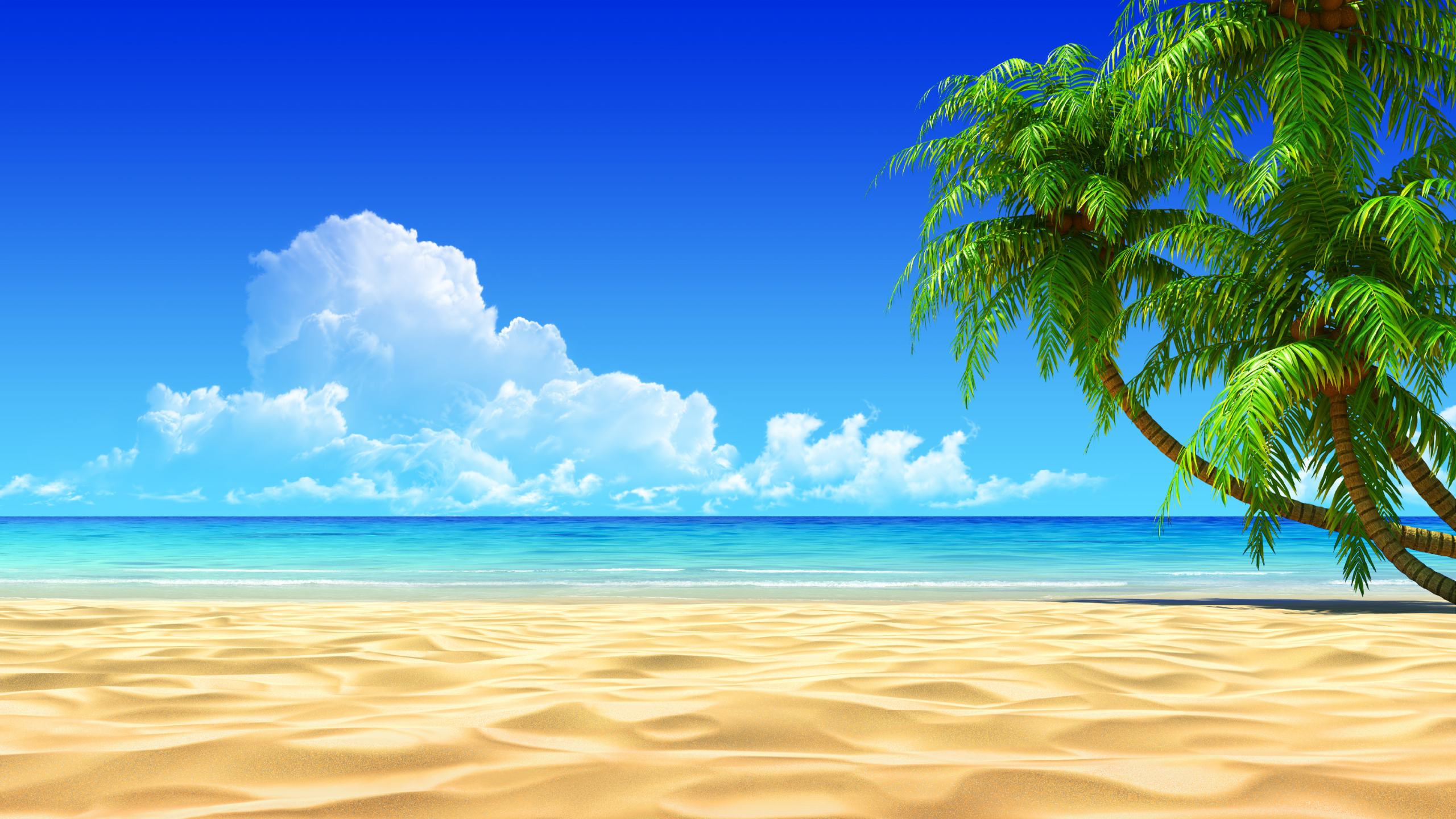 tropical backgrounds clipart