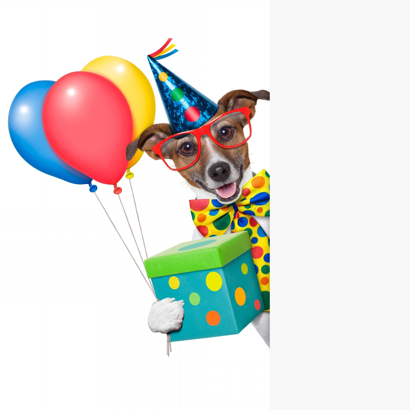 Free Puppy Birthday Cliparts, Download Free Puppy Birthday Cliparts png