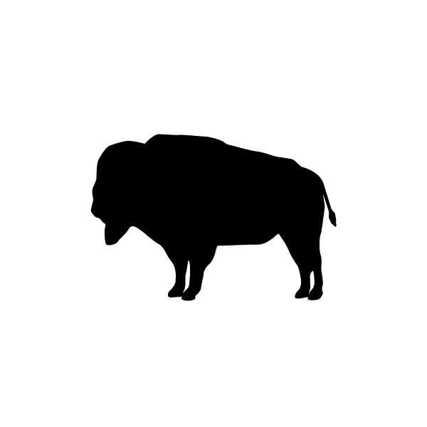 Buffalo silhouette clipart