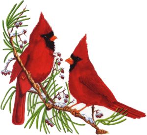 Christmas Cardinal Clip Art