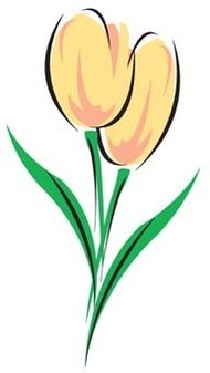 Yellow Tulip Clip Art Download 1,000 clip arts