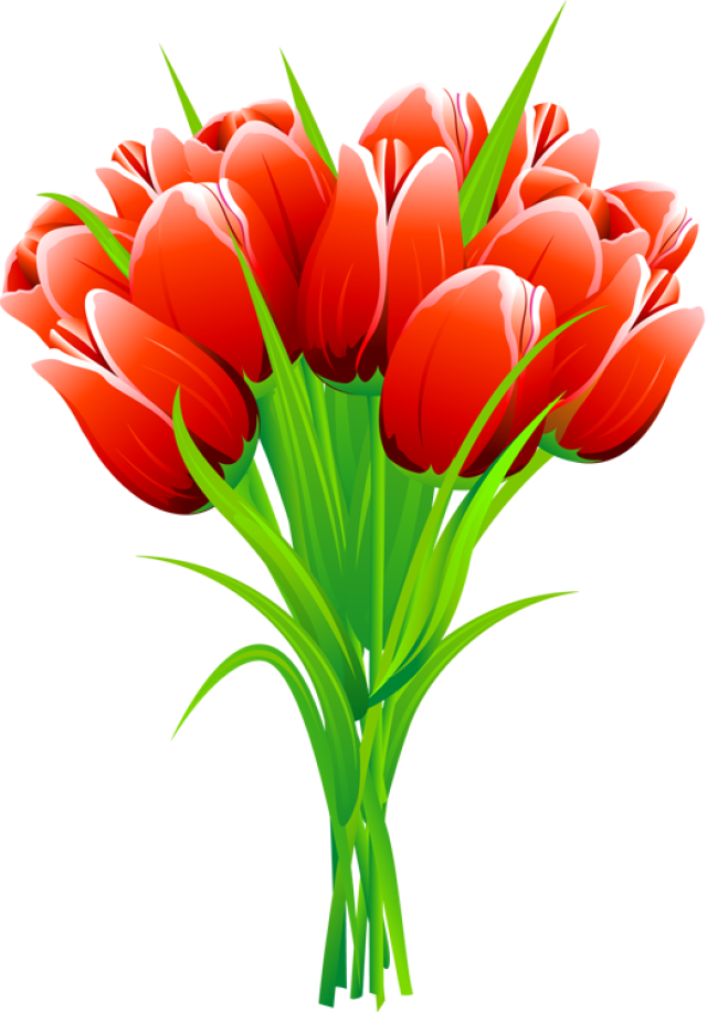 Red Pink and Yellow Tulips Clipart. 