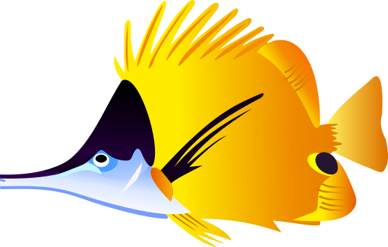 Angelfish Clipart craft projects, Animals Clipart