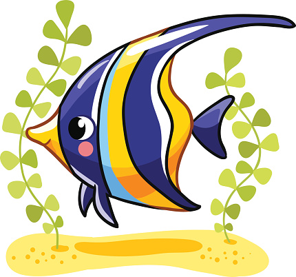 Angel Fish Pictures, Image and Stock Photos