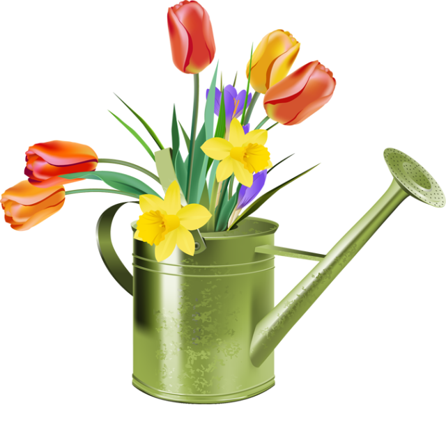Free Spring Tulips Cliparts, Download Free Clip Art, Free ...