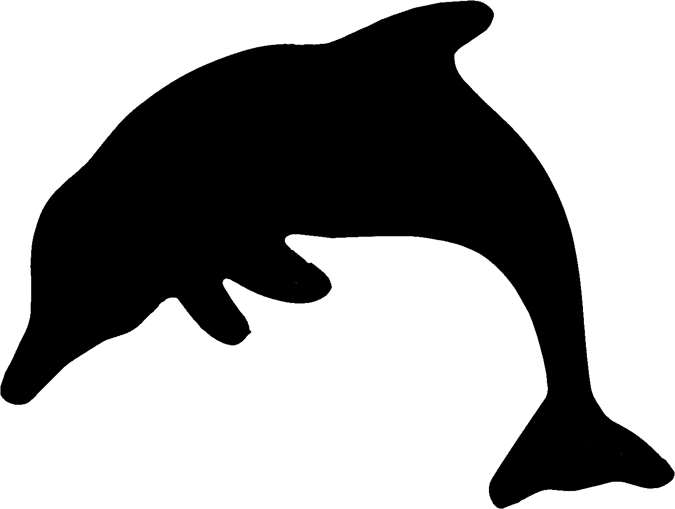 Pictures Of A Dolphin