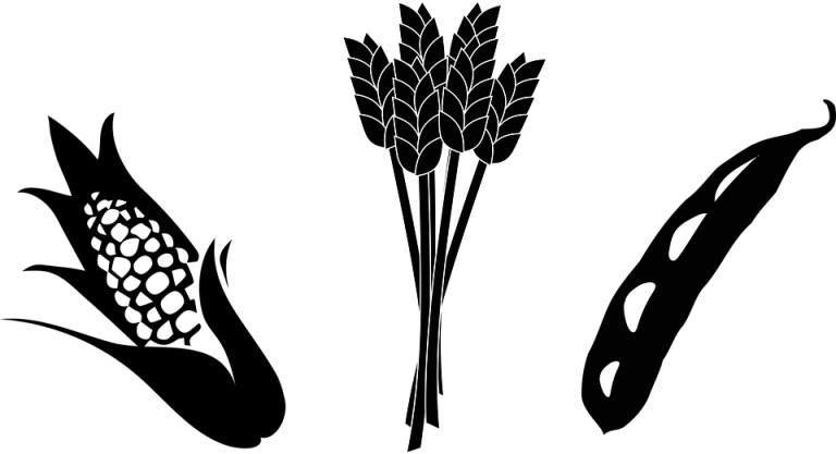Free corn and soybeans crop silhouette clipart