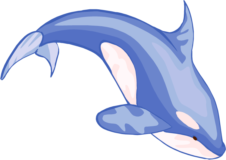 Beluga whale clipart