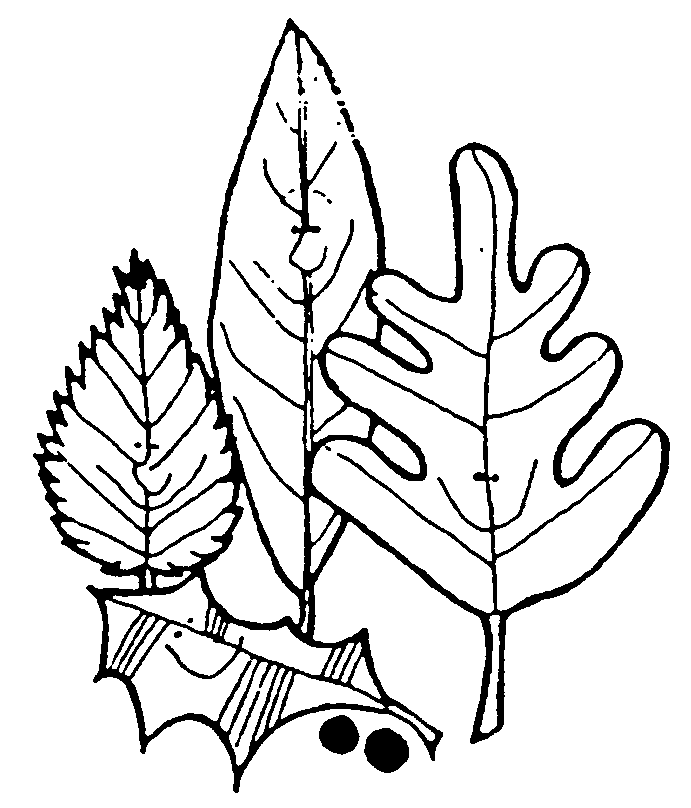 Black And White Leaves Clipart