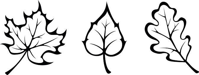 Black and white clipart image for autumn leaves  butterflies