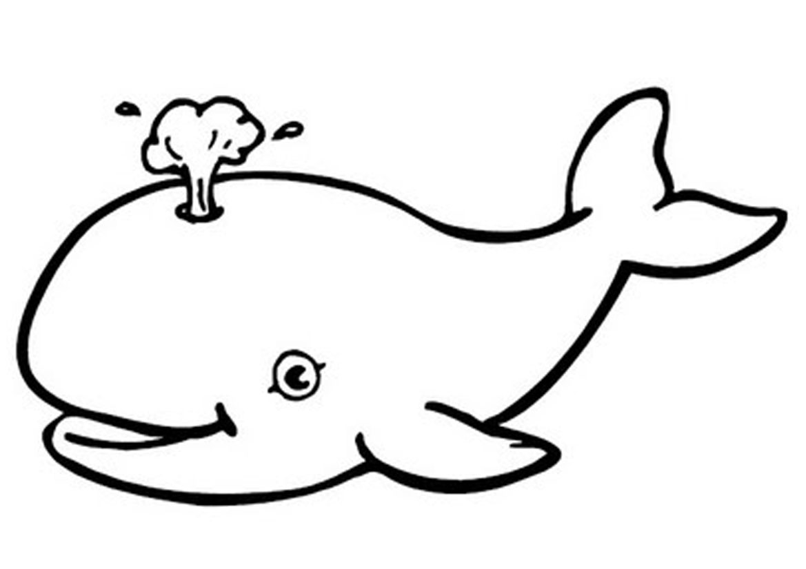 Whale clip art cartoon free clipart image 8