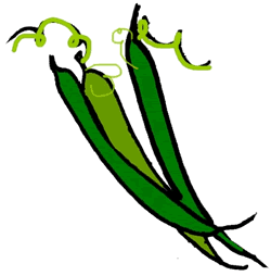 cartoon green beans clipart - Clip Art Library