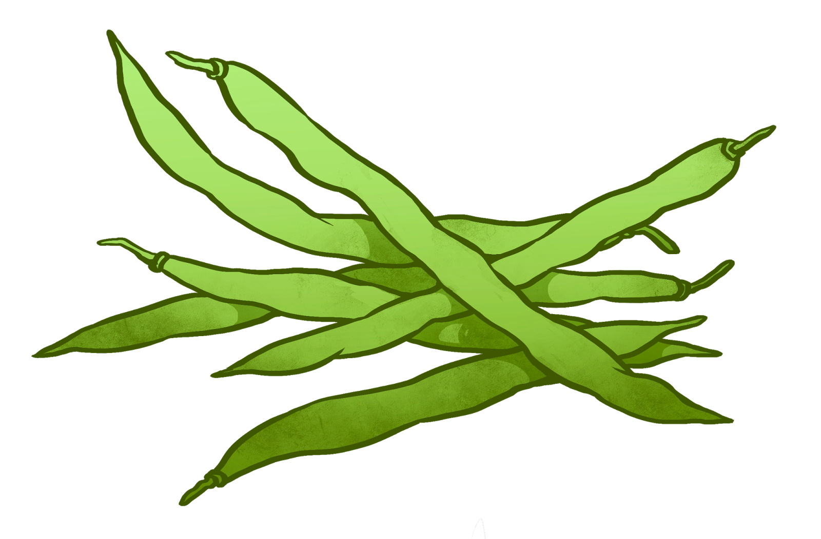 green beans drawing easy - Clip Art Library