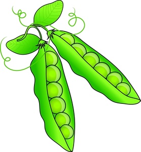 Green bean clip art