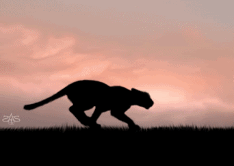 black panther animal running gif - Clip Art Library