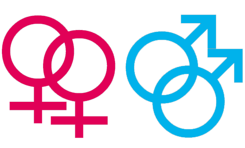 File:Gay lesbian symbol.gif
