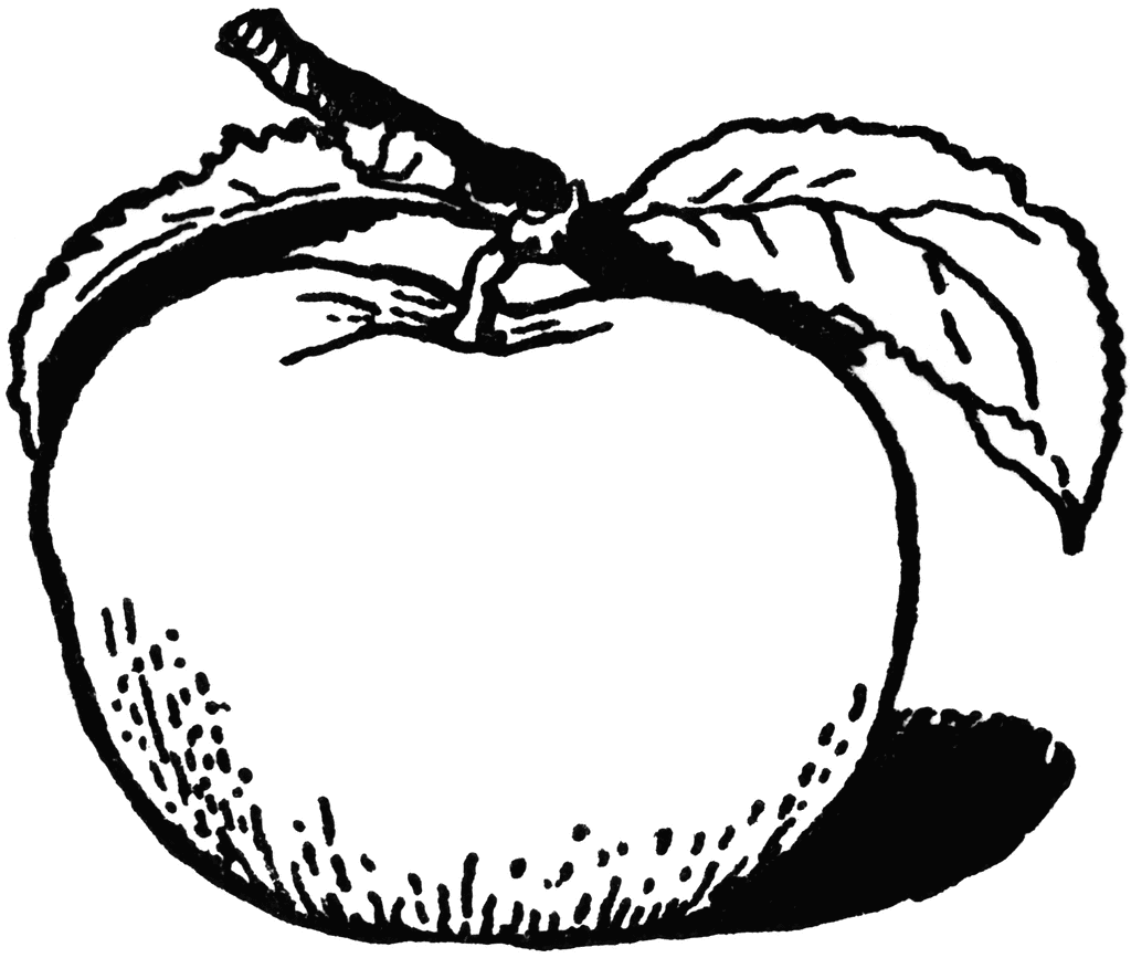Free White Apple Cliparts, Download Free Clip Art, Free