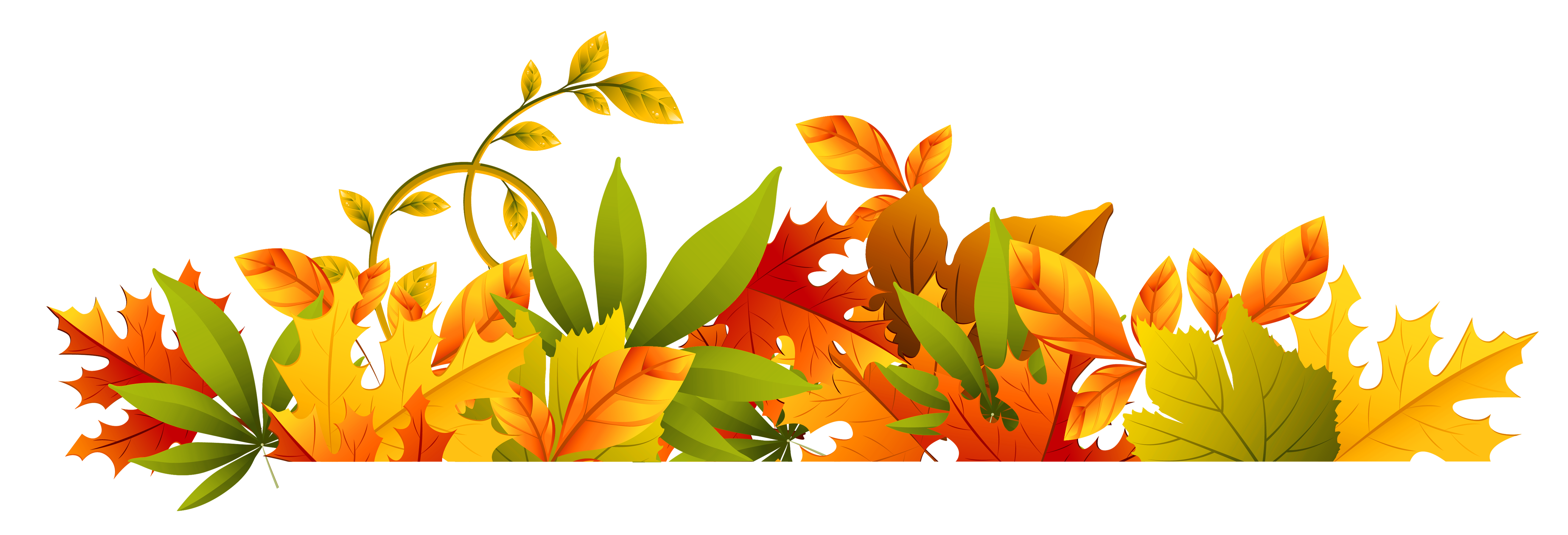 Free clipart of tree leaves and borders