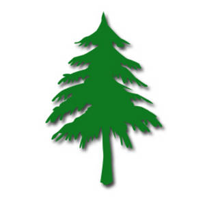 Redwood Tree Clip Art Free