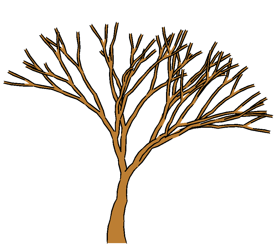 Brown Tree Without Leaves Clipart