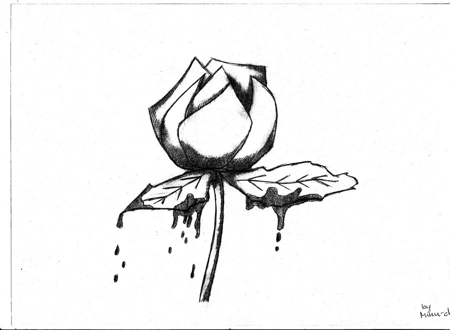 Rose Old School Drawing