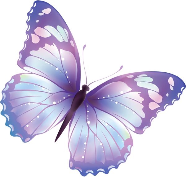 Butterfly Clipart Transparent Background