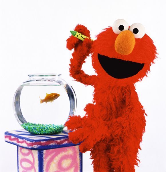 Clip Arts Related To : sesame street elmos world dvd. view all Dorothy Gold...