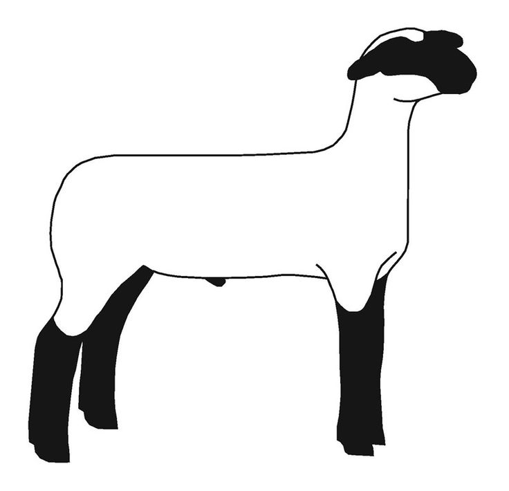 Clipart Sheep Outline