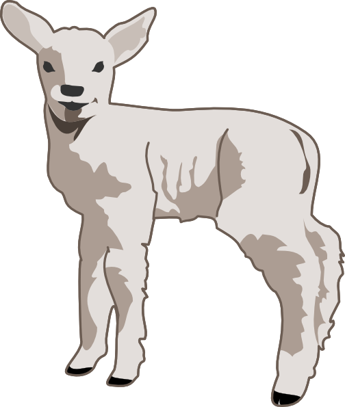 Club show lambs clipart market goat