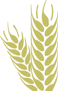 Simple Wheat Clip Art at Clker