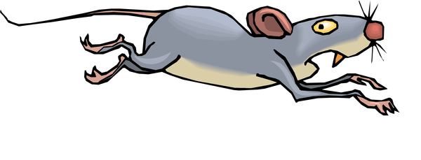 rat running clipart - Clip Art Library