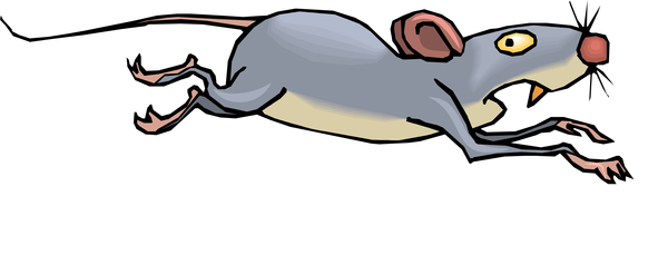 running rat clipart panda