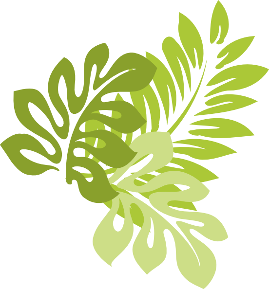 Jungle Leaves Cartoon Png : free for commercial use high quality images