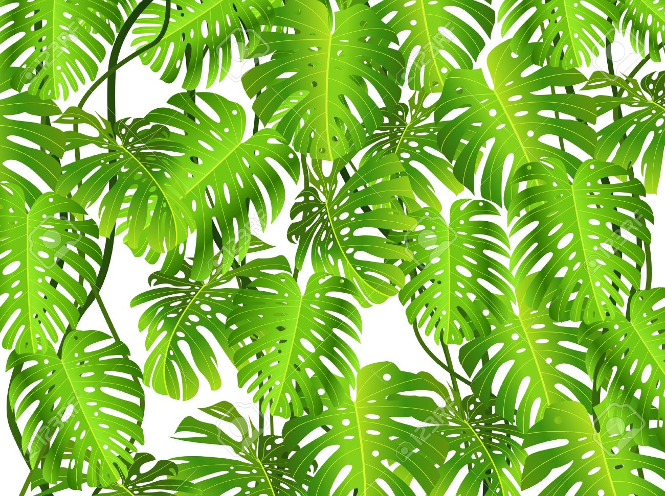 tropical leaf background free - Clip Art Library