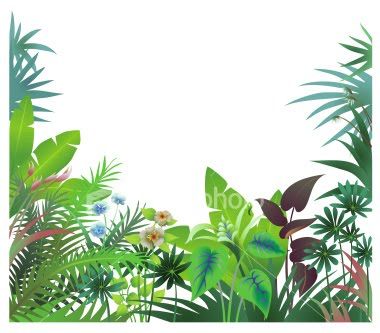Free Jungle Leaves Png, Download Free Jungle Leaves Png png images