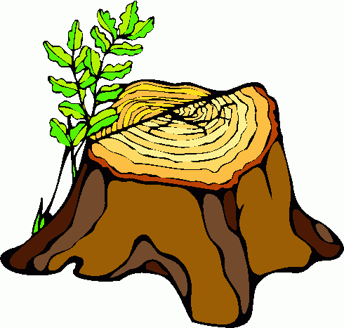 Tree Stump Grinding Clipart