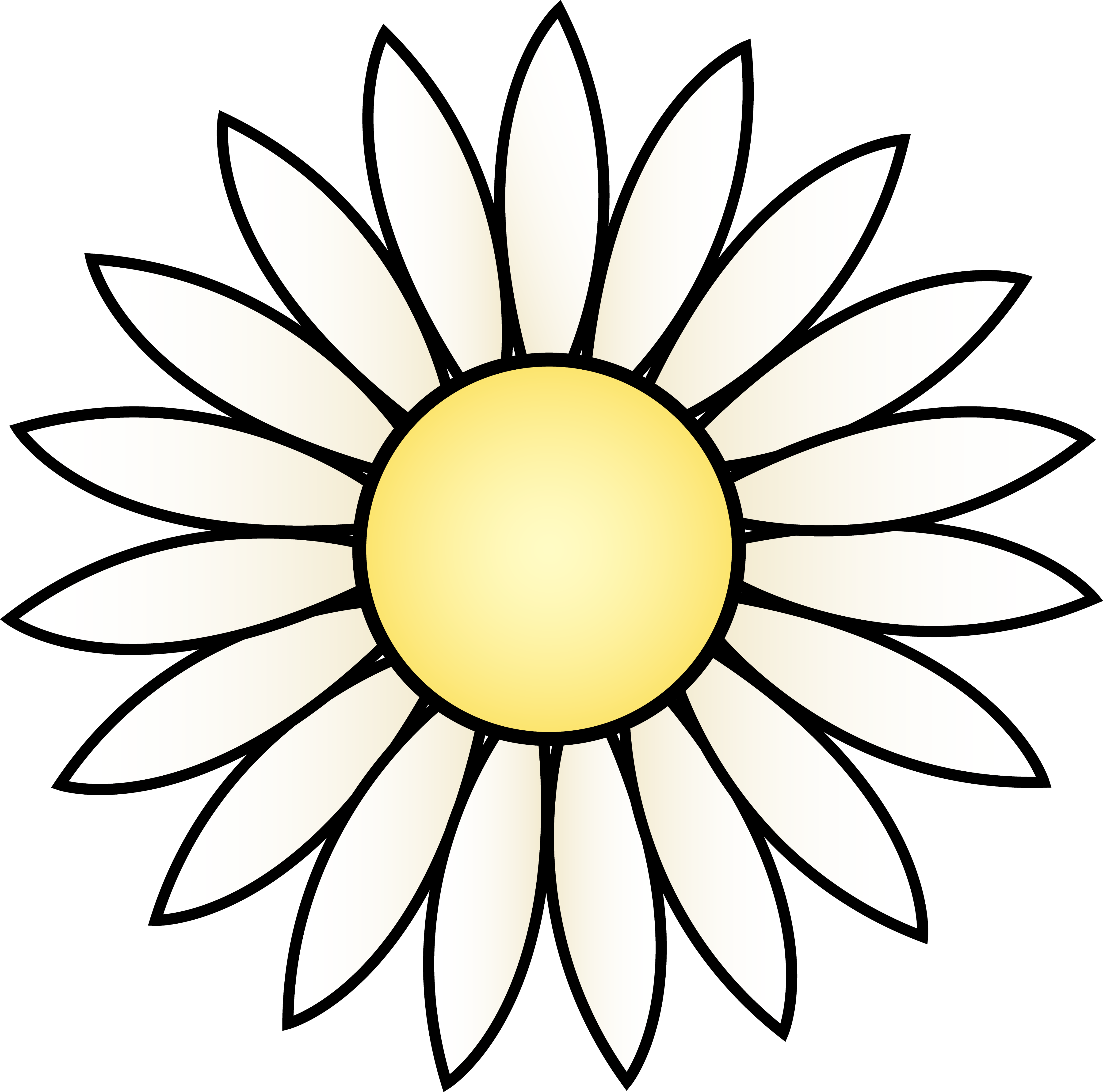 Black And White Daisy Pictures Clipart