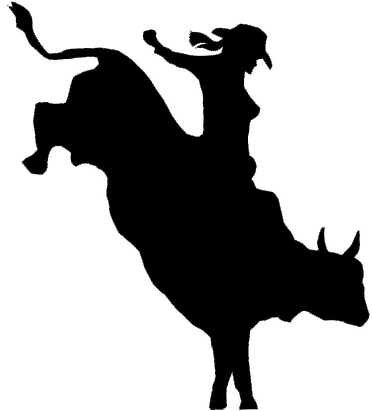 Image Of Bull