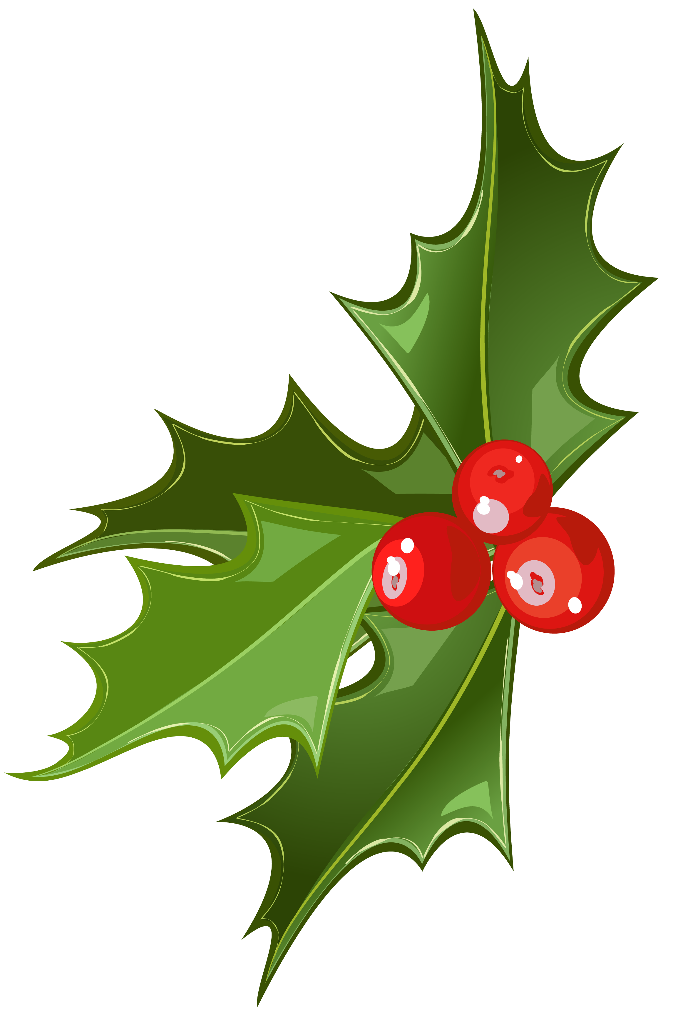 Mistletoe clipart transparent