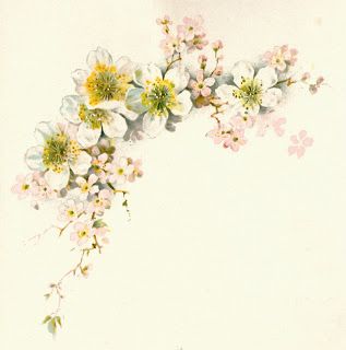 Antique Image: Free Flower Graphic: Vintage Dogwood Flower Clip