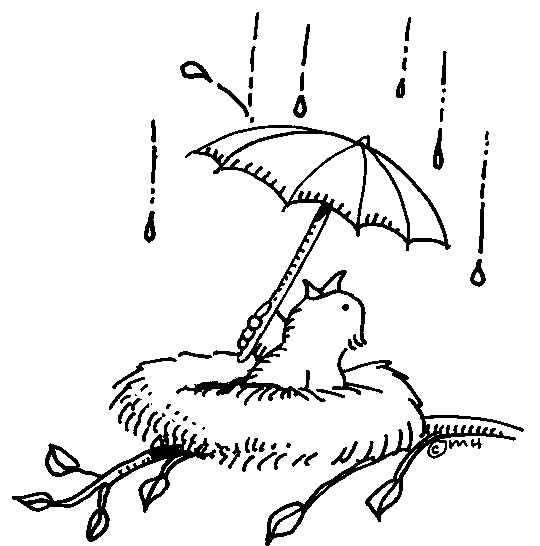 bird with umbrella