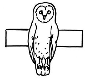 Barn Owl Cartoon